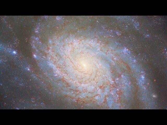 Pan: NGC 3810