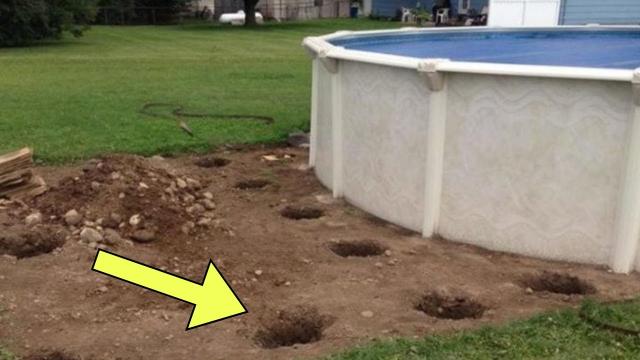 Man Digs Hole In Yard, Becomes The Envy Of His Neighbors, Looks Closer At The Hole