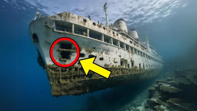 Researchers Find Long-Lost Ship On Bottom Of The Ocean. They Turn Pale When Seeing What's Inside