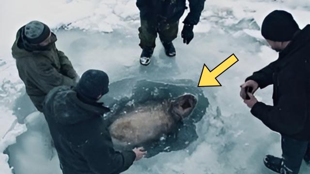 Fishermen Approach Iceberg to Save Animal - What They Discover Is Terrifying