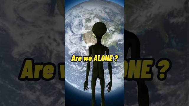 Exploring Non-Human Intelligences - Are We Alone? #shorts #status