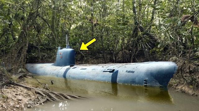 Abandoned WW2 Submarine Found In Rain Forest, Cops Turn Pale After Seeing Whats Inside